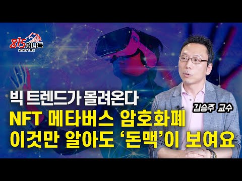 메타버스, 암호화폐, NFT,  완전정복 / 이것만 알아도 "돈 맥"이 보여요. | 김승주 교수