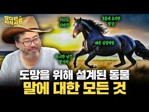말이 발가락 하나 남기고 다 없앤 이유 / 말의 땀으로 세탁을 할 수 있다? 🐴