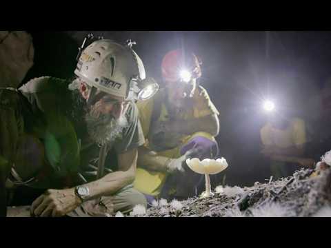 Palawan, the longest underground river in the world