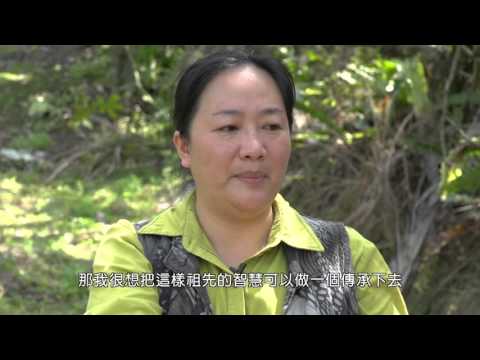 【LiMA新聞世界 第102集】野菜-阿美族的冰箱