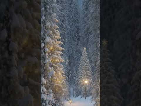 Merry Christmas Love and Peace Tim & Elizabeth  #christmas #music #christmas christmasmusic