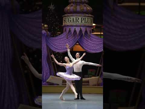 Anna Nevzorova made her stunning debut as #SugarPlumFairy! #ballet #nutcracker