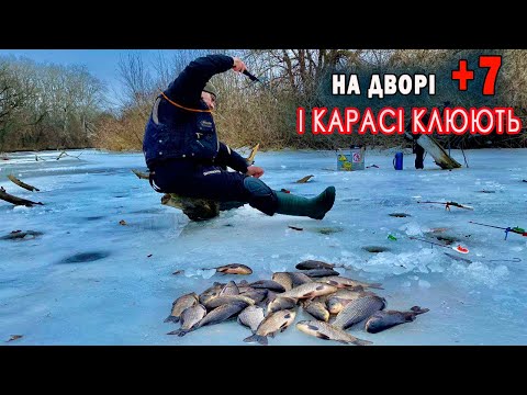 РОЗДАЧА КРУПНОГО КАРАСЯ  ПО ОСТАННІЙ КРИЗІ на озері в лісі.  Зимовий карась в коряжнику.