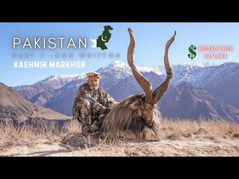 Highest Price tag Hunting Kashmire Markhor $271,000 | Hunting Pakistan | Raja Ron