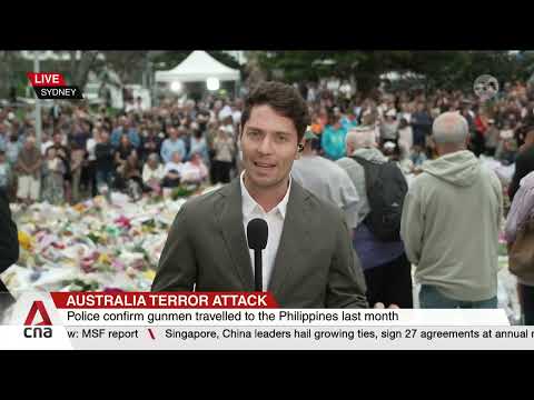Bondi Beach shooting: New footage shows couple attempting to disarm gunman