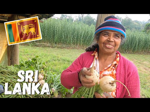 SRI LANKA | Uninvited Foreigner In The Village 🇱🇰