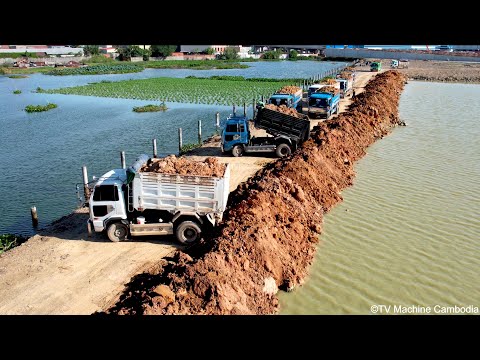 Wonderful COMBINE Backfilling Construction Of Machinery Team Dozer & Truck 5T Spreading Into Water