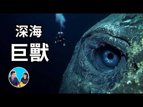 有人證，有物證，有照片，有影片，五個有記錄的深海怪獸 | 老高與小茉 Mr & Mrs Gao