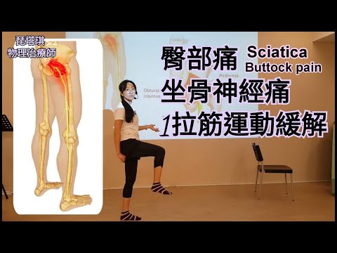 Stretch exercises for buttock pain and sciatica / Teaching Live broadcast / (English cc subtitles)