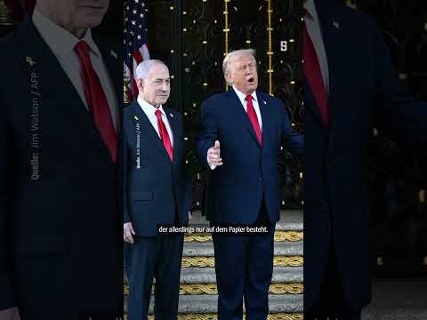 365 Tage Trump | DER SPIEGEL Shorts