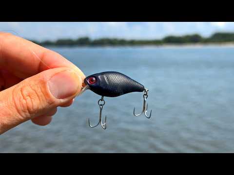 Спиннинг в Августе. Сильная рыба на тонкую снасть! Первая рыбалка дома