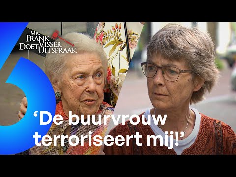 'BEDREIGDE' buurvrouw wordt KNETTERGEK van LUIDE TELEVISIE! | Mr. Frank Visser doet uitspraak #AFL44