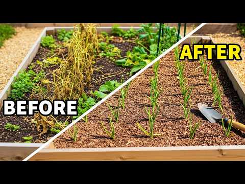 Winter Garden Prep: 7 Things We Must Do Now