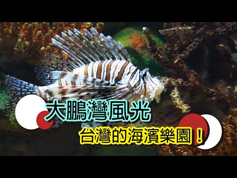 大鵬灣國家風景區，揭開台灣最美海灣的秘密大鵬灣/國家風景區/自然美景/台灣旅遊/海濱風光｜台灣國家風景區系列