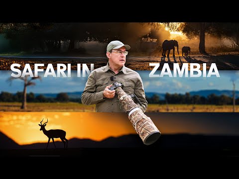 Why THIS may be the best wildlife photo destination in the world!