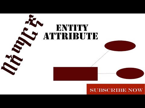 Introduction of ENTITY & ATTRIBUTE concepts || አማርኛ