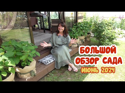 Большой ОБЗОР САДА на 10 июня 2024 г. Все цветники и зоны!