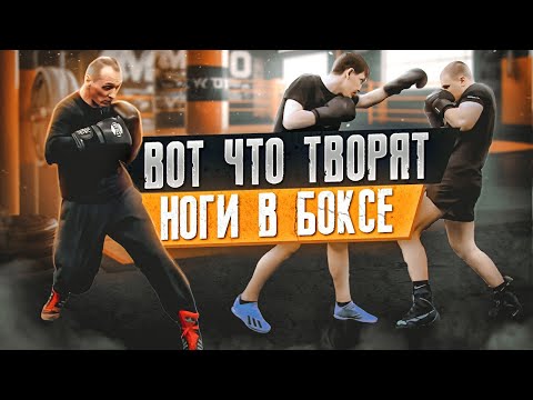 MANEUVERS and DEFENSIVE MOVEMENTS on THE LEGS in BOXING