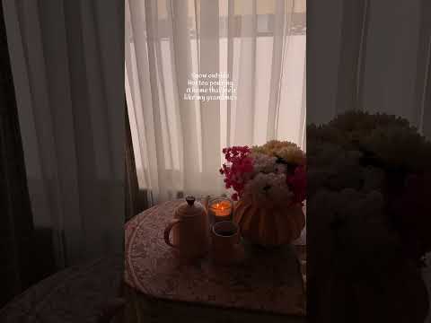 A cozy snow day that feels like grams hug #cozyathome #snowfall