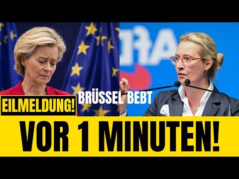 Von der Leyen voted out – election shock from Brussels changes everything