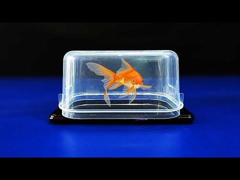 Make an awesome 3D hologram projector using a plastic jar | Pepper's Ghost effects