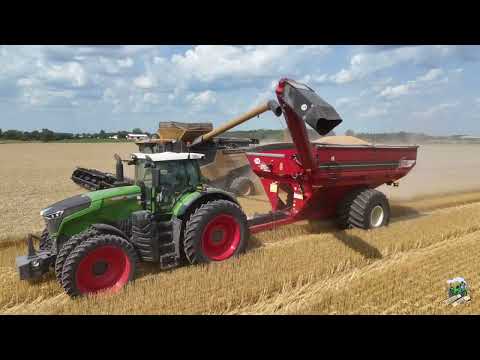 Harvesting Winter Wheat & Planting Double Crop Soybeans | Darke County Ohio