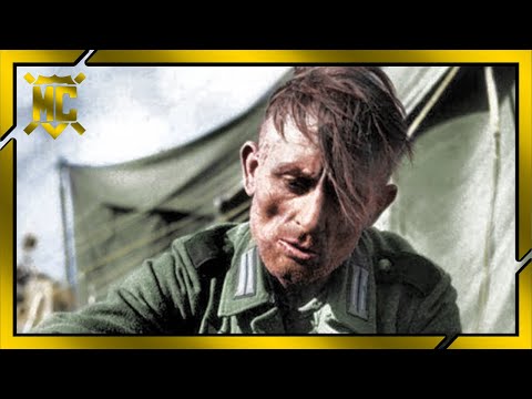 The Gestapo Came To Me. Diary Of A German Soldier. The Eastern Front.