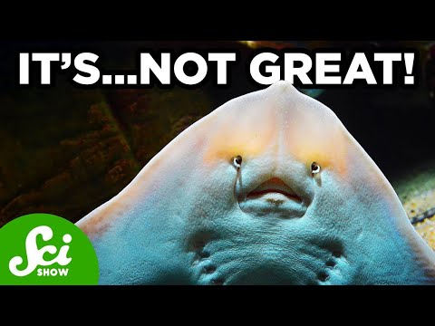 Inbreeding with Yourself