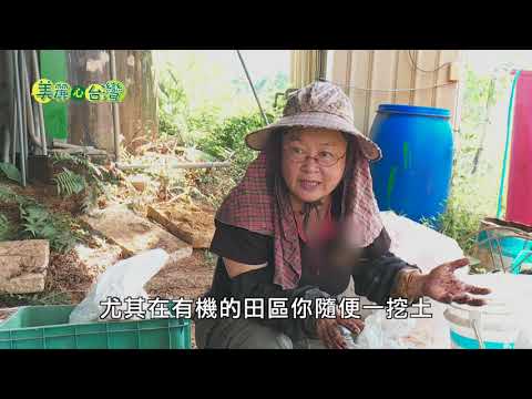 【苗栗卓蘭】有機印加果 女農夫堅持剝殼榨油 | 有機無毒 | 279 | #美麗心台灣