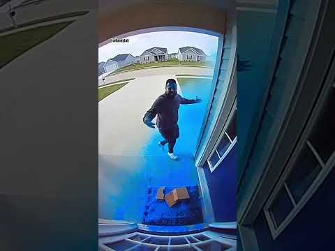 He’s such an angry Smurf! #porchpiraterevenge #instantkarma