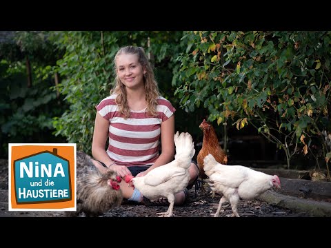 Ein Herz für Hühner | Information für Kinder | Nina und die Haustiere