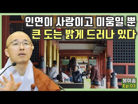 [불이3] 당신이 이미 깨달아 있는 이유, 인연이 사랑이고 미움일 뿐, 그런 나는 없다