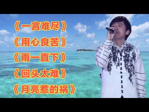 张宇经典歌曲《一言难尽》《用心良苦》《雨一直下》《回头太难》 #音乐 #音乐分享 #音乐推荐 #经典老歌