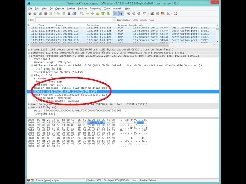 How to bust a tech support scammer