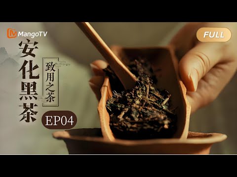 【FULL】纪录片《安化黑茶》EP04·致用之茶：真正的成熟不是变苦 而是学会回甘｜Mango Documentary
