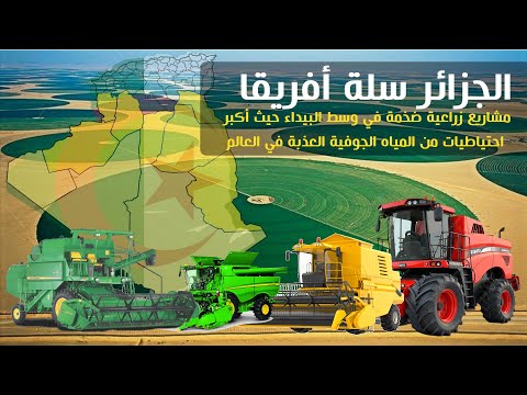 الصحراء تُثمر.. الجزائر تُطلق مشروع سلة غذاء إفريقيا!