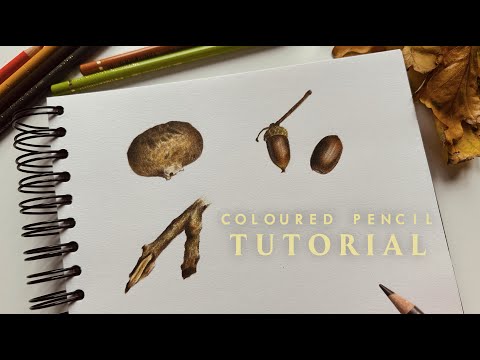 Learn to Draw | Fall Autumn Coloured Pencil Tutorial | Real-Time