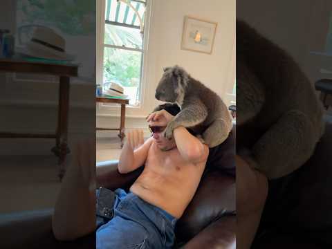 THE HANGOVER: AUSTRALIA EDITION π€―