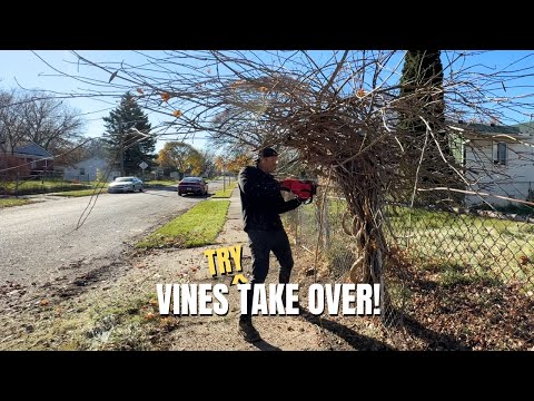 ABANDONED property STRANGLED by VINES - RESTORED to NEW!!!