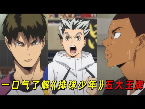 一口气了解《排球少年》全国五大王牌！他们实力爆棚，却没一个“正常人”！
