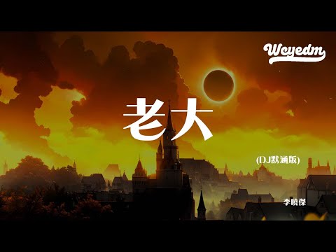 李晓杰 - 老大 (DJ默涵版)「真的话假的话 都比不了那句话 那句每天都要对你说的话」【動態歌詞/pīn yīn gē cí】#李晓杰 #老大 #動態歌詞