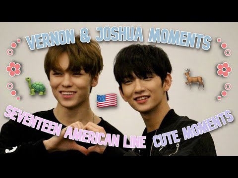 Vernon and Joshua cute moments and interactions (SEVENTEEN) Pt 3
