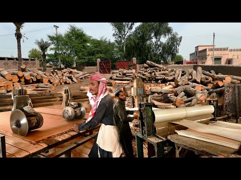 Process of Making Plywood ' How Plywood are made