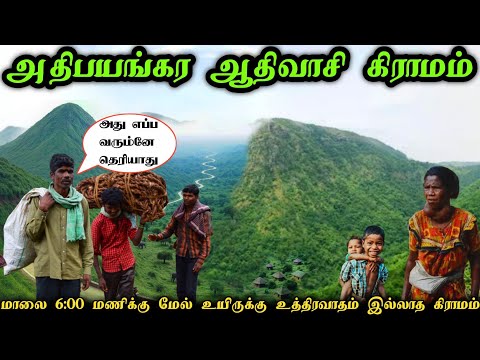 அதிபயங்கர ஆதிவாசி கிராமம் 🚷6 மணிக்கு மேல வெளியே வரமாட்டோம் #village #culture  #danger #traibal