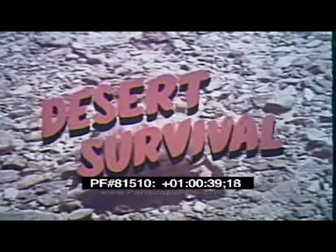 U.S. AIR FORCE DESERT SURVIVAL TRAINING FILM  81510