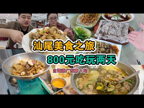 廣東汕尾慢遊vlog | 美食多到吃不完的寶藏海邊小城！酒樓茶點才幾塊錢，吃+住人均不到500！