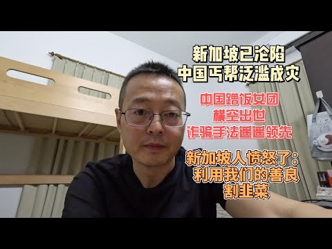 新加坡已沦陷 中国丐帮在狮城泛滥成灾|中国蹭饭女团横空出世 诈骗手法遥遥领先|新加坡人彻底愤怒了：利用我们的善良割韭菜！