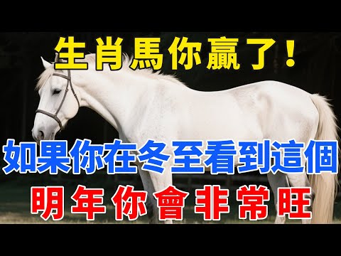 生肖馬你贏了！如果你在12月21號「冬至」看到這個，明年你會非常旺！【禪心】#生肖 #運勢 #風水 #財運#命理