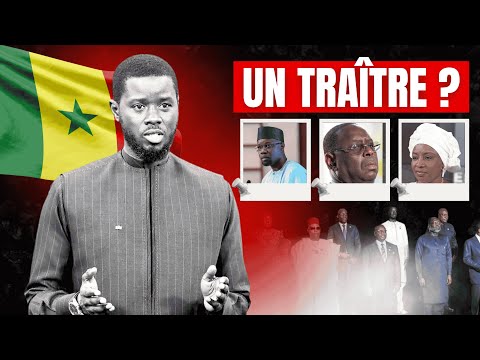Diomaye, Sonko : De la Révolution à la Division ?
