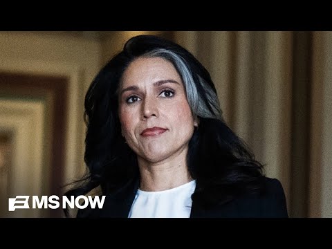 What is Tulsi Gabbard doing in Fulton County? Sen. Warner slams 'bizarre' raid